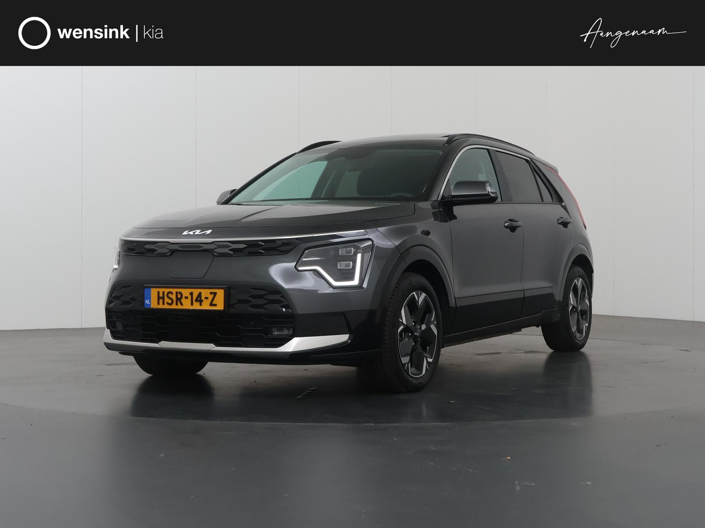 Kia Niro EV