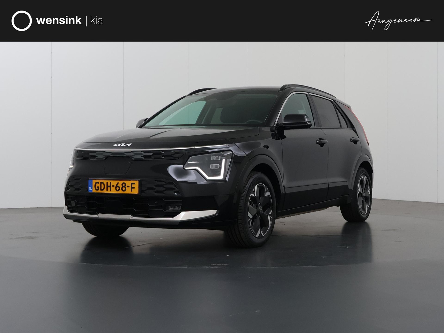 Kia Niro EV