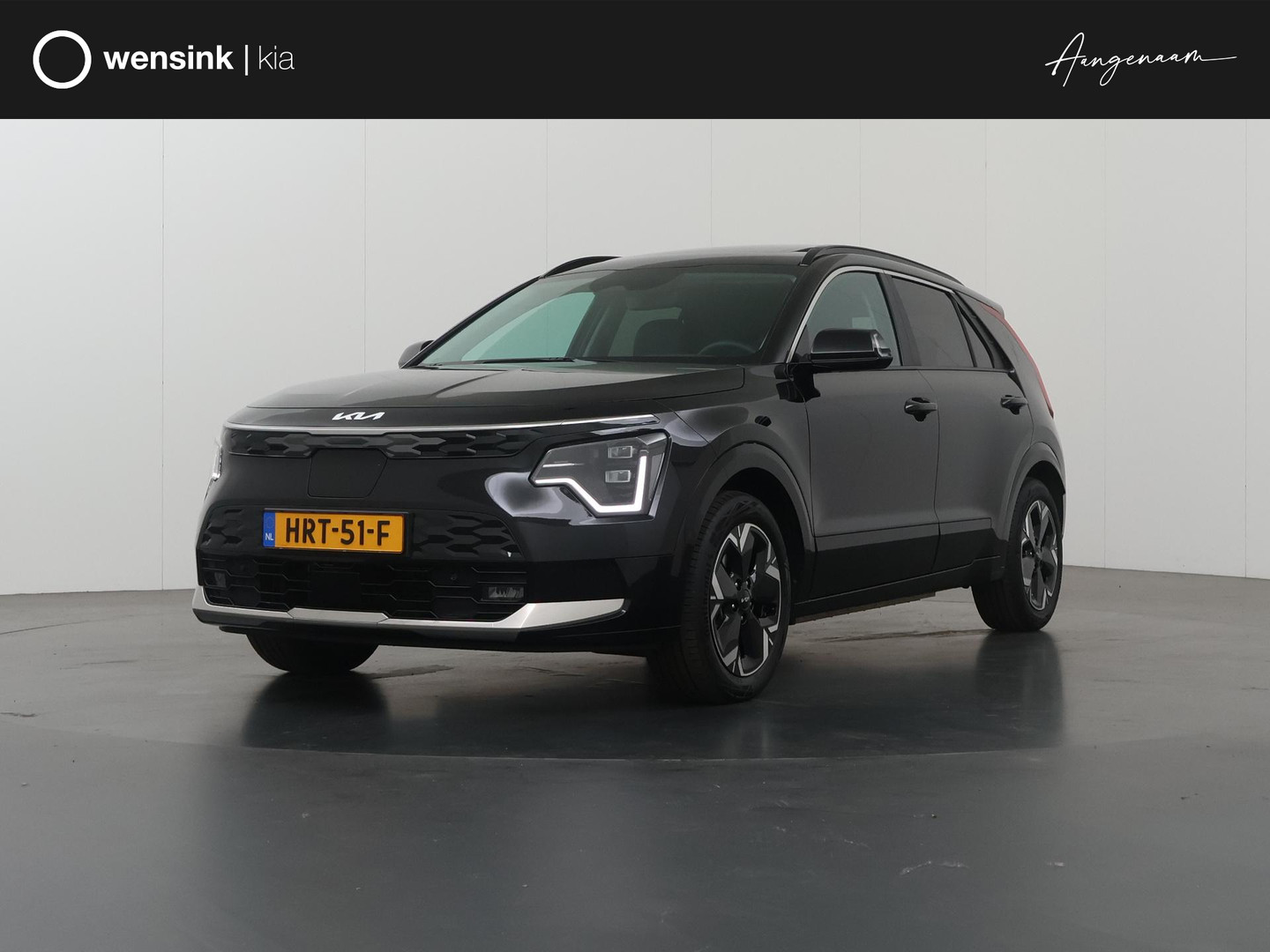 Kia Niro EV