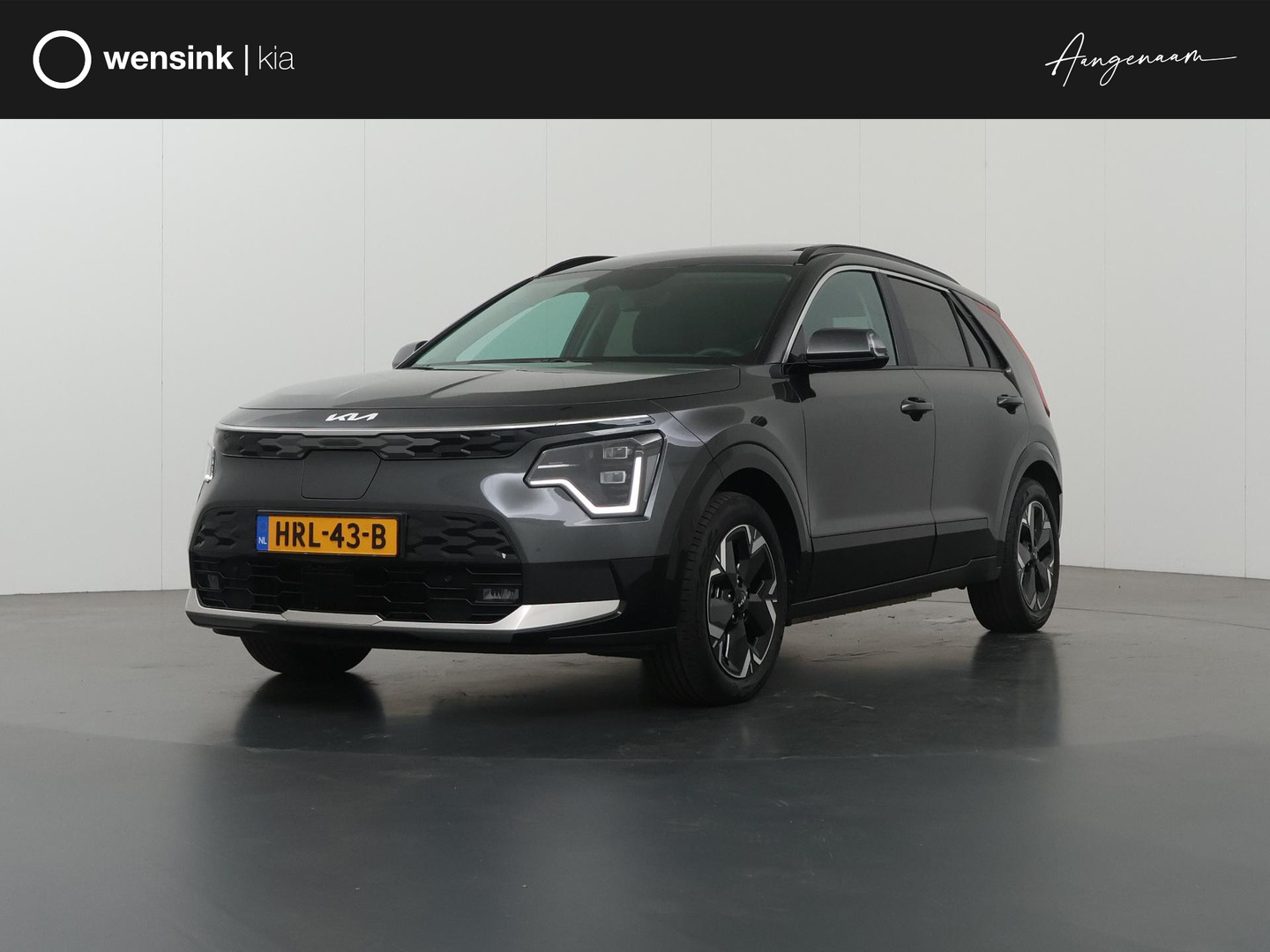 Kia Niro EV